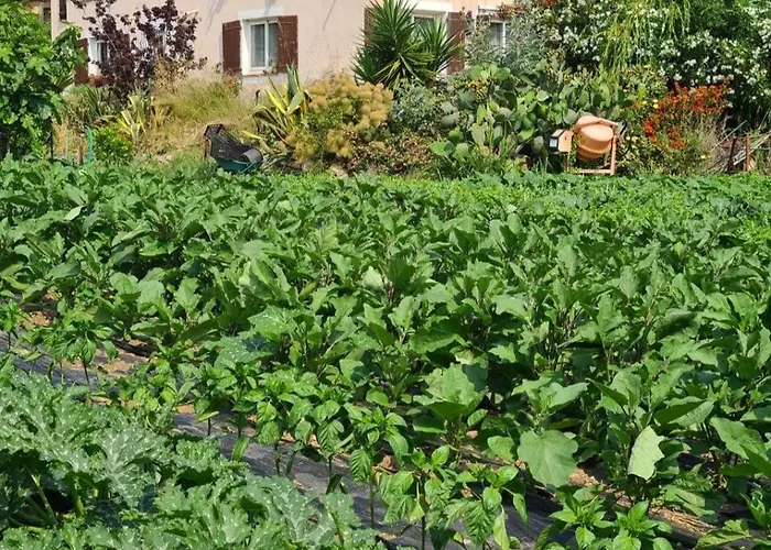 Beautiful Sea View, Quiet In Agricultural *