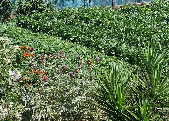 Beautiful Sea View, Quiet In Agricultural * Αντίμπ