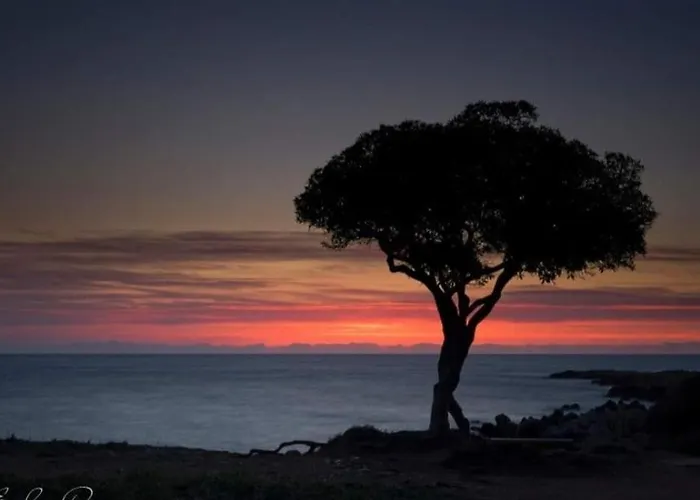 Beautiful Sea View, Quiet In Agricultural * Αντίμπ