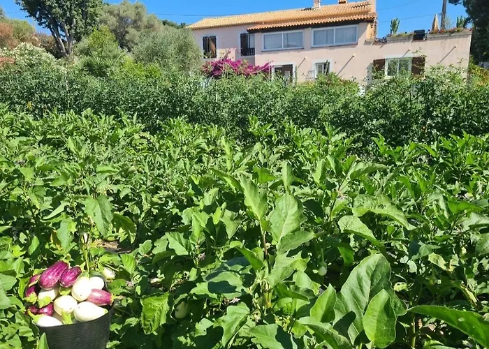Beautiful Sea View, Quiet In Agricultural