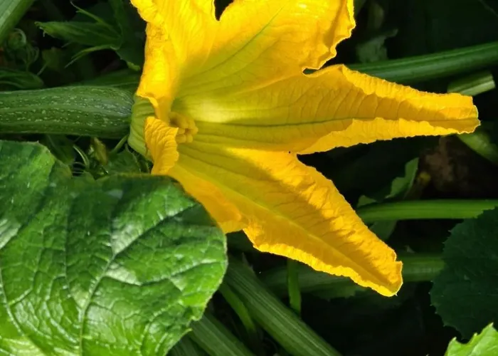 Βίλα Beautiful Sea View, Quiet In Agricultural *