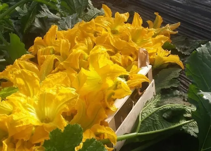 Beautiful Sea View, Quiet In Agricultural Βίλα Αντίμπ