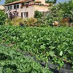 Beautiful Sea View, Quiet In Agricultural *