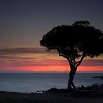 Beautiful Sea View, Quiet In Agricultural * Antibes