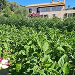Beautiful Sea View, Quiet In Agricultural
