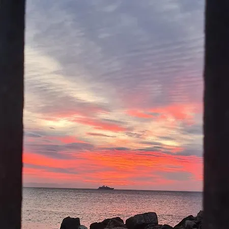 Beautiful Sea View, Quiet In Agricultural * Αντίμπ