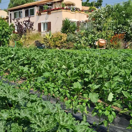 Beautiful Sea View, Quiet In Agricultural *