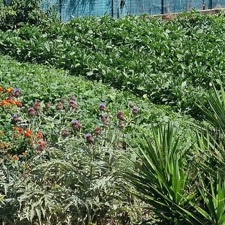 Beautiful Sea View, Quiet In Agricultural * 昂蒂布