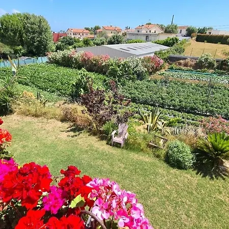 Beautiful Sea View, Quiet In Agricultural Villa