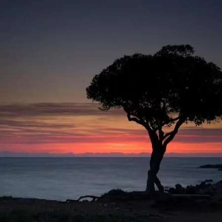 Beautiful Sea View, Quiet In Agricultural * Αντίμπ
