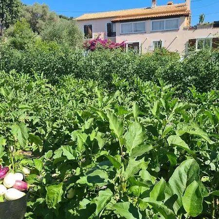 Beautiful Sea View, Quiet In Agricultural