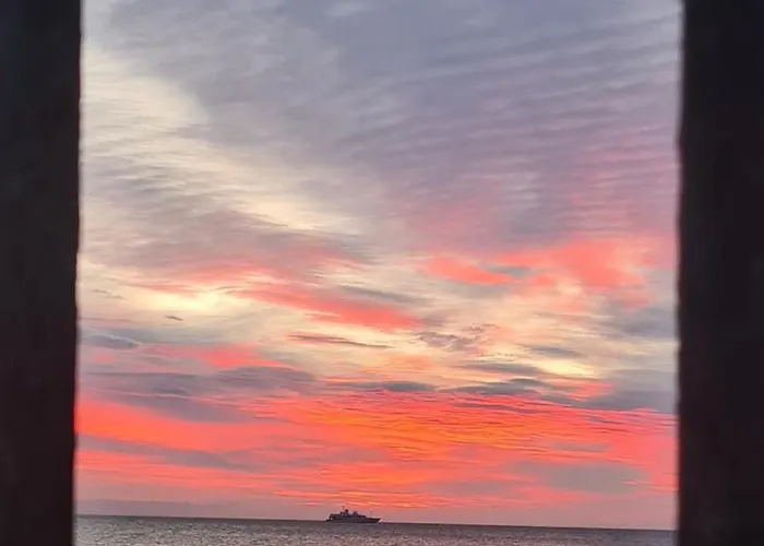 Beautiful Sea View, Quiet In Agricultural * 昂蒂布