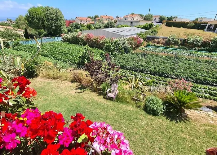 Beautiful Sea View, Quiet In Agricultural 别墅