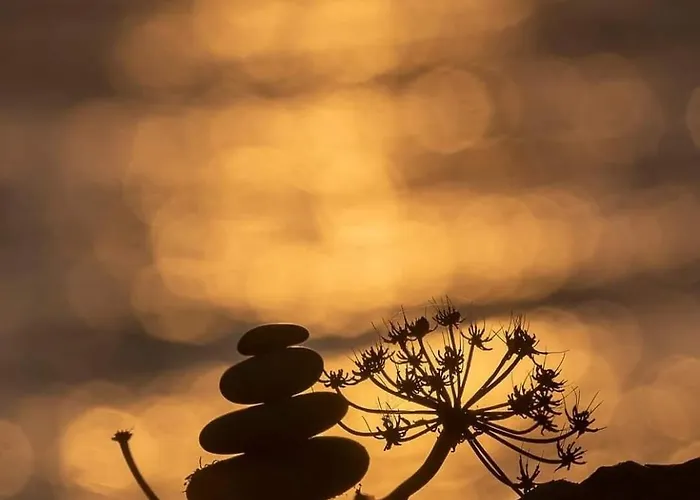 Beautiful Sea View, Quiet In Agricultural 别墅